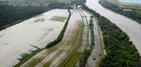 kisoroszi árvíz magyar bajnokság 2013 06 11.jpg