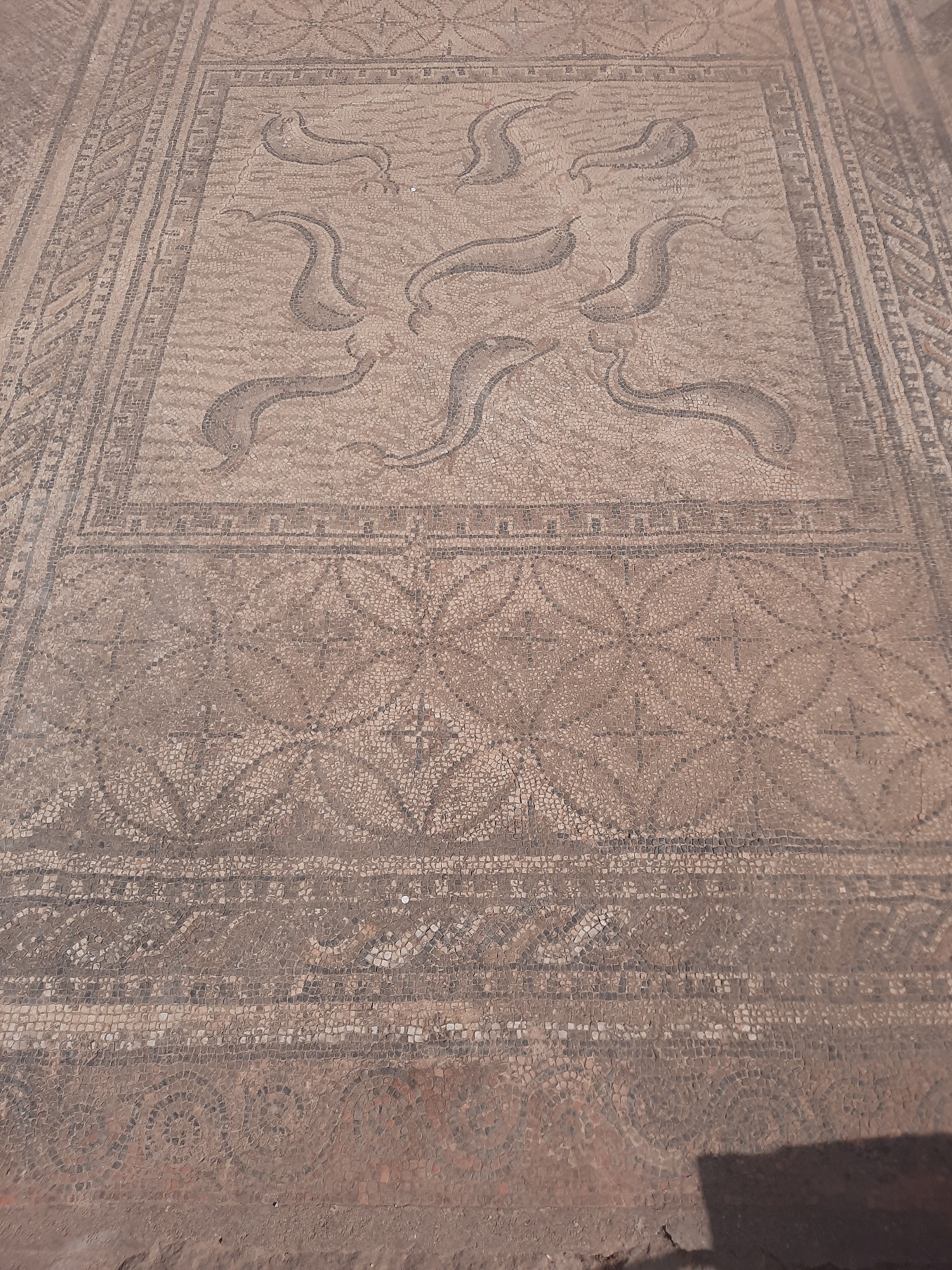 A delfinek mozaikja az Orpheus-ház egyik padlódísze volt.