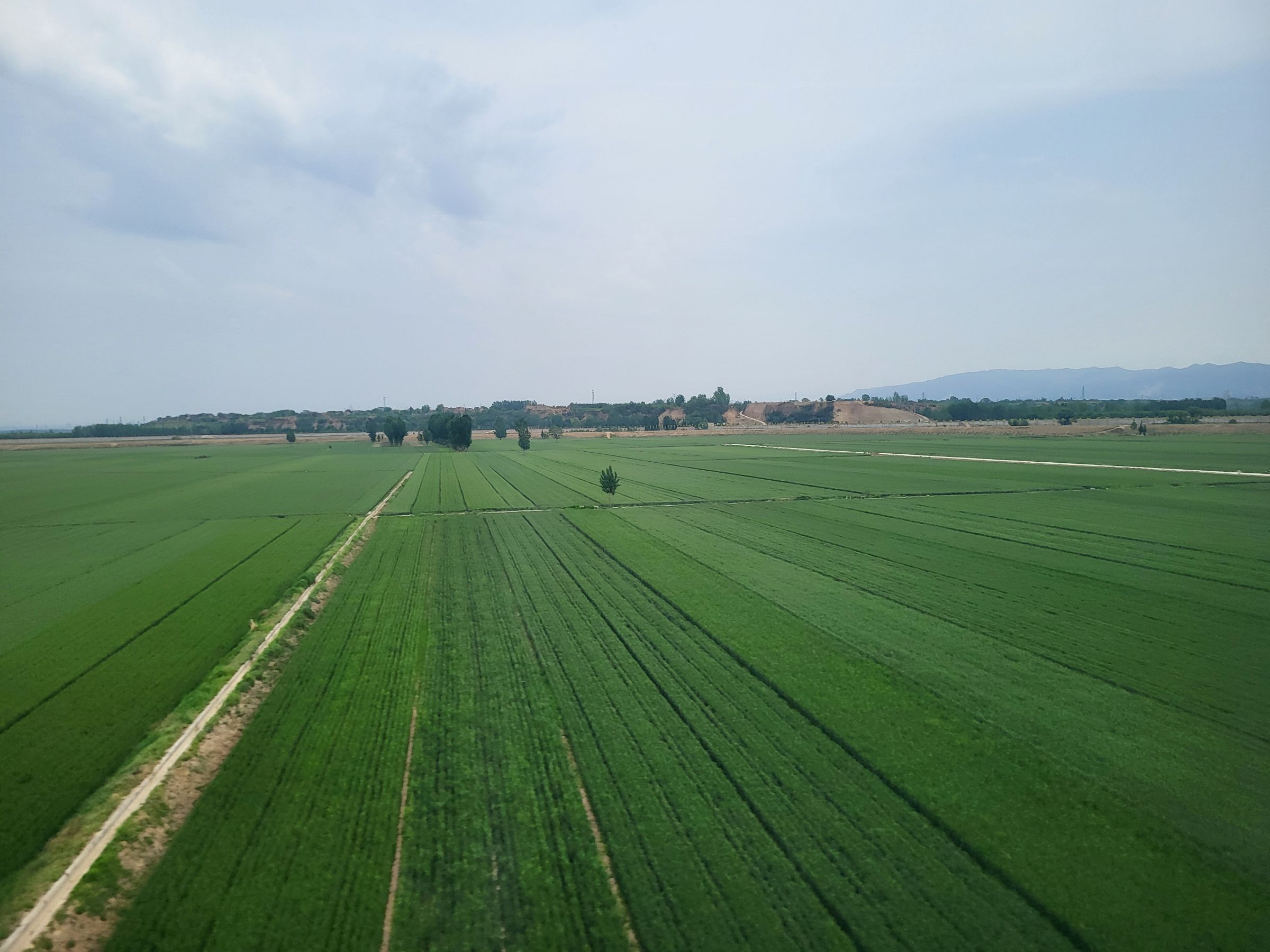 Végeláthatatlan rizsföldek, a táblák közt a vízelvezető csatorna.