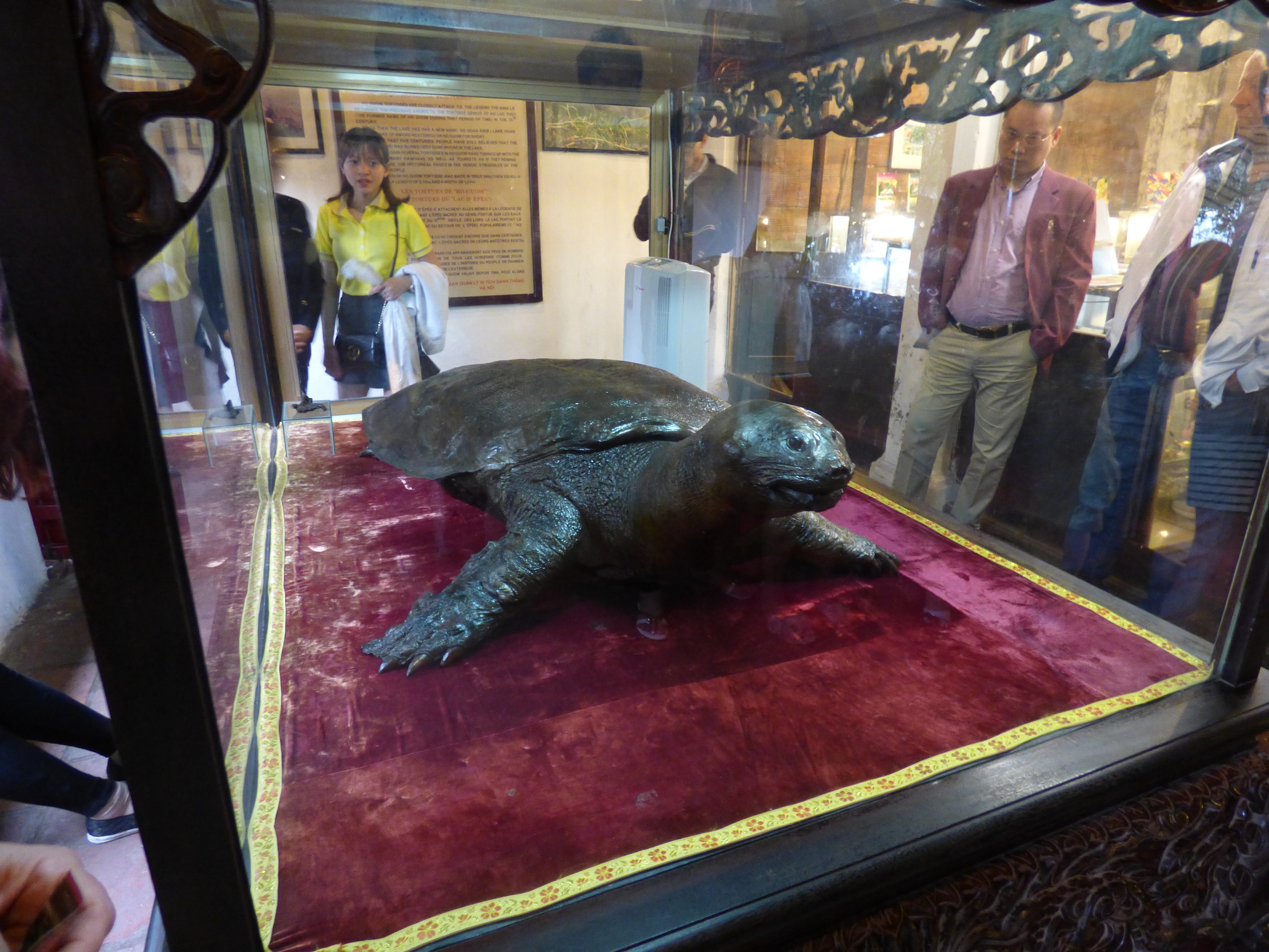  A tóban állítólag még ma is élnek óriásteknősök. Egy 1968-ban elhullott s kitömött példányát tekinthetjük meg a tárolóban. A teknős életében 250 kilogramm és 2,1 méter volt. 