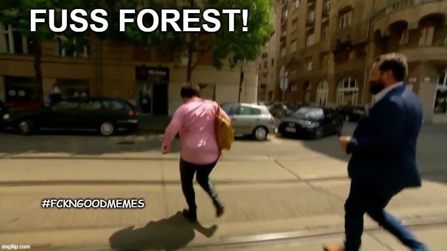 Fuss Forest