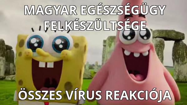 Magyar egészségügy és járványhelyzet