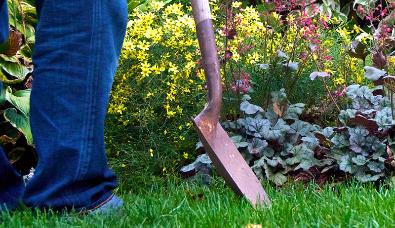 shovel_bark.jpg