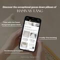 Discovering the Exquisite Products of Hamvay-Lang.com