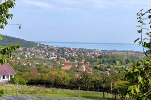 Nyitott pincék 30 TT - ahogy én láttam...