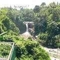 Ubud, avagy majmok, cibet macska és szentölt víz