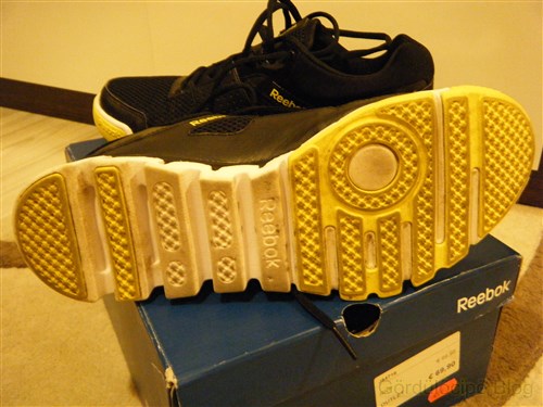 Reebok_ZigNano04.jpg