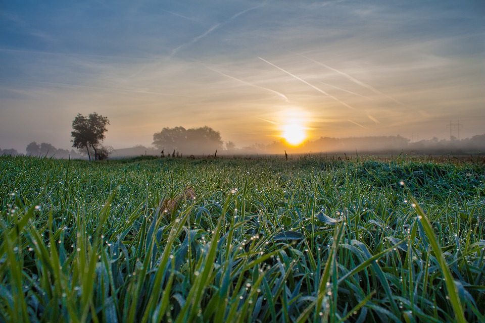 sunrise-3051938_960_720.jpg