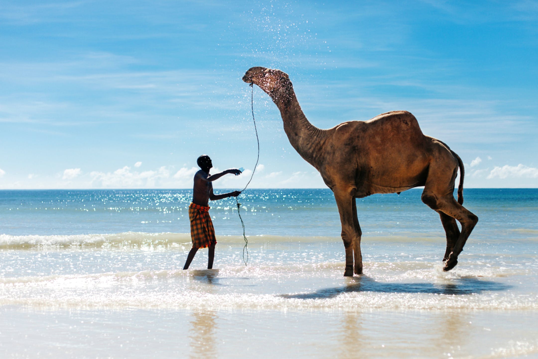 original_kenya-winter-beaches.jpg