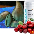 Life Impulse® Artro Life