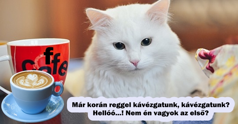 kavecicuka_1.jpg