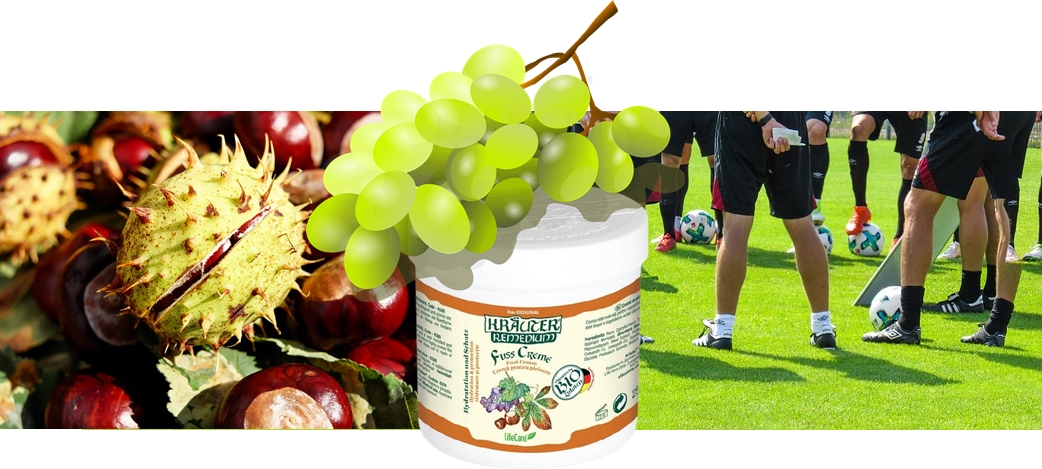 labkremfoci.jpg
