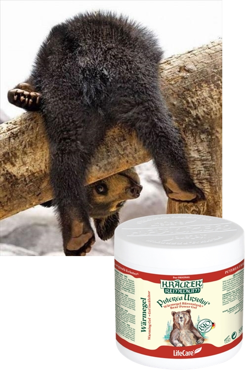 reumaellen.jpg