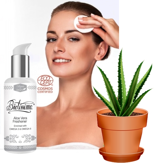 sminklemosoaloe.jpg