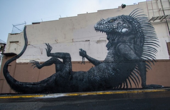 roa7.jpg