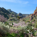 3 alapvető tipp az első látogatáshoz Gran Canaria szigetén