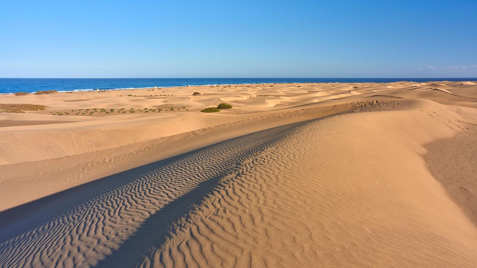 cab-isla-gran-canaria.jpg