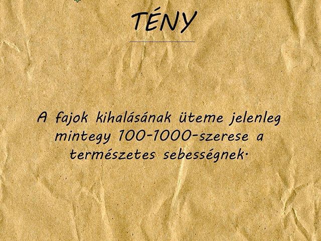 #tény #valtoztatnikell #eco #öko #greenandcarelifestyle