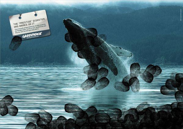 campaign-against-oil-spills-whale-small-30467.jpg