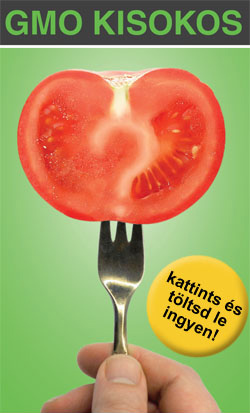 18 GMO_kisokos-banner.jpg