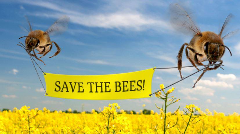 savethebees.jpg