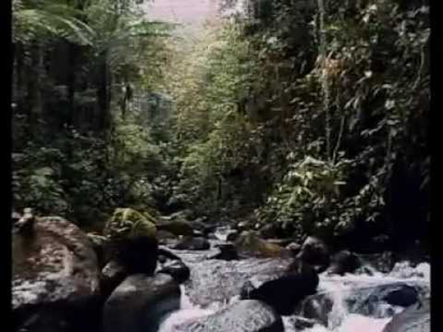Humánöko dokufilm - Az Amazonas természete