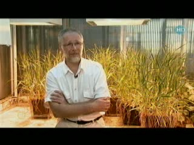 MTV Agrárpercek - génmódosítás lobbi