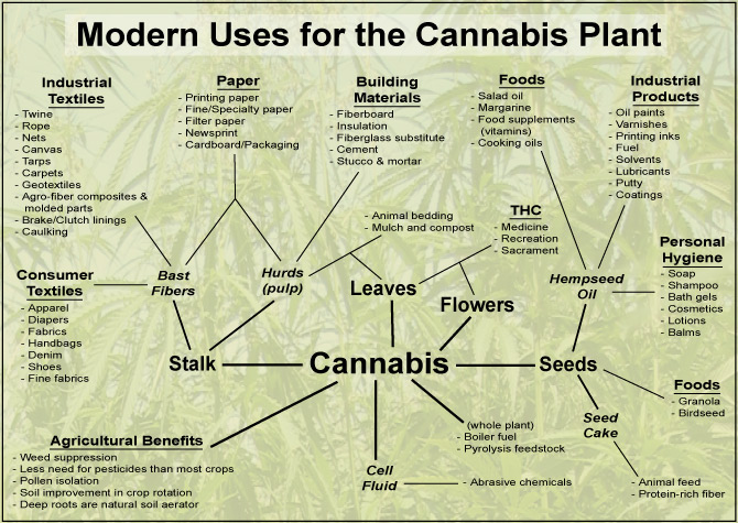 https://m.blog.hu/gr/greenr/image/Uses-For-Cannabis-Infographic.jpg