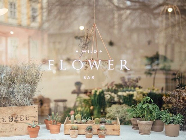 Valami vad, valami virágos, valami új - Interjú a Wild Flower Bar csapatával