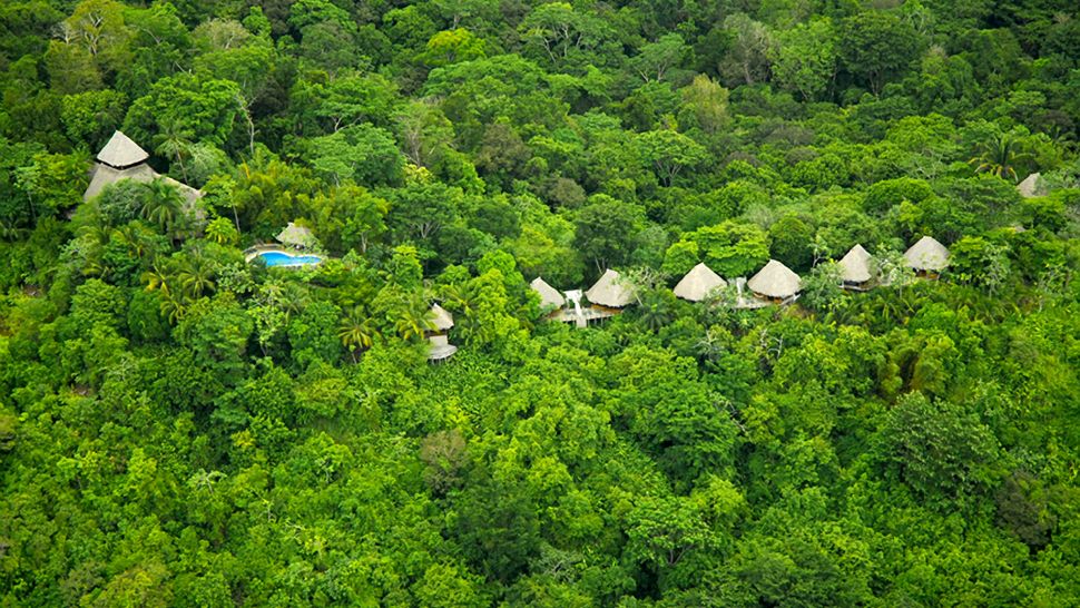 001687-01-exterior-aerial-view-trees-daytime.jpg