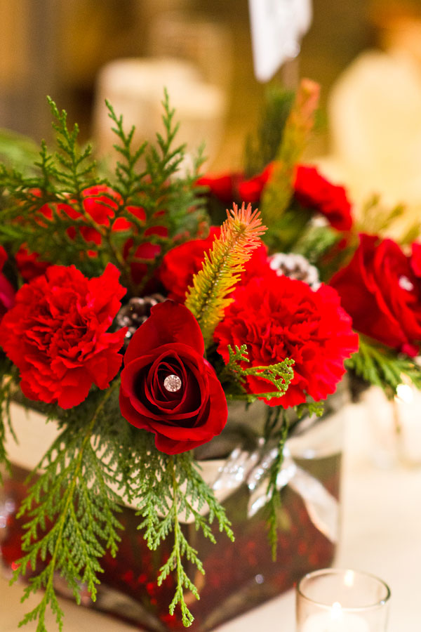 red-roses_rachelpearlmanphotography.jpg