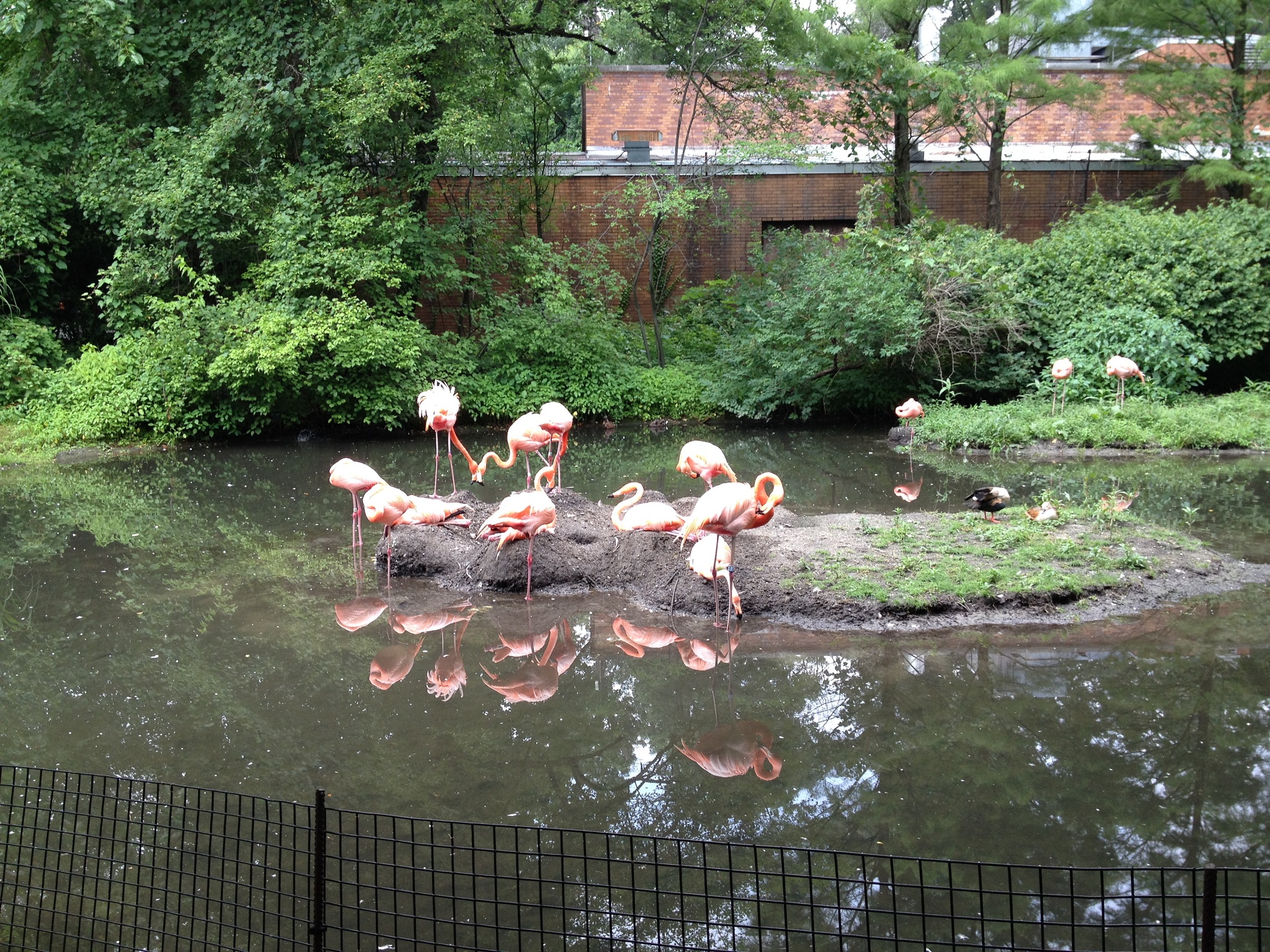 04853_bronx_zoo_small.jpg