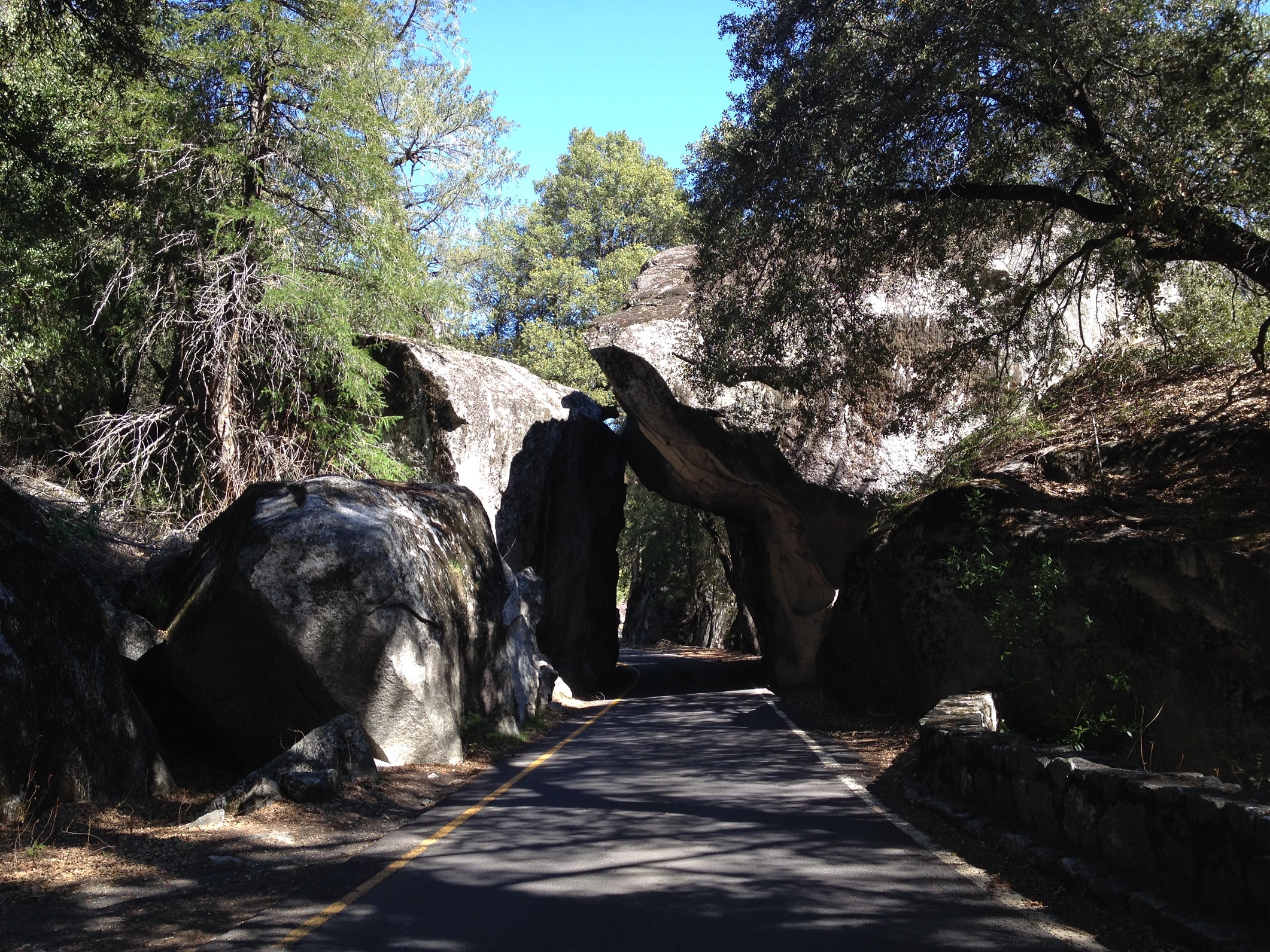 0795 - California - Yosemite - small.jpg