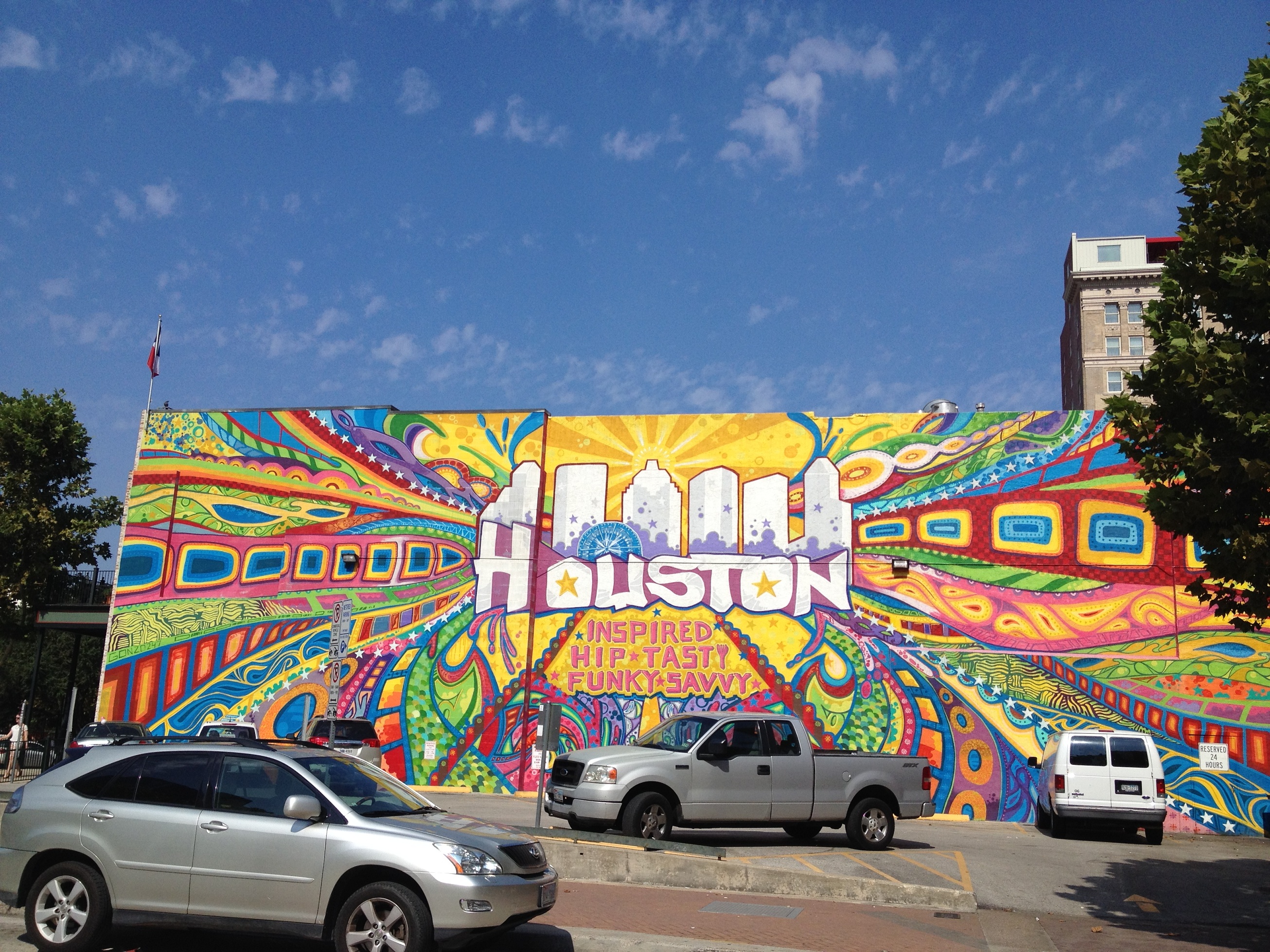 09428_texas_houston_small.jpg