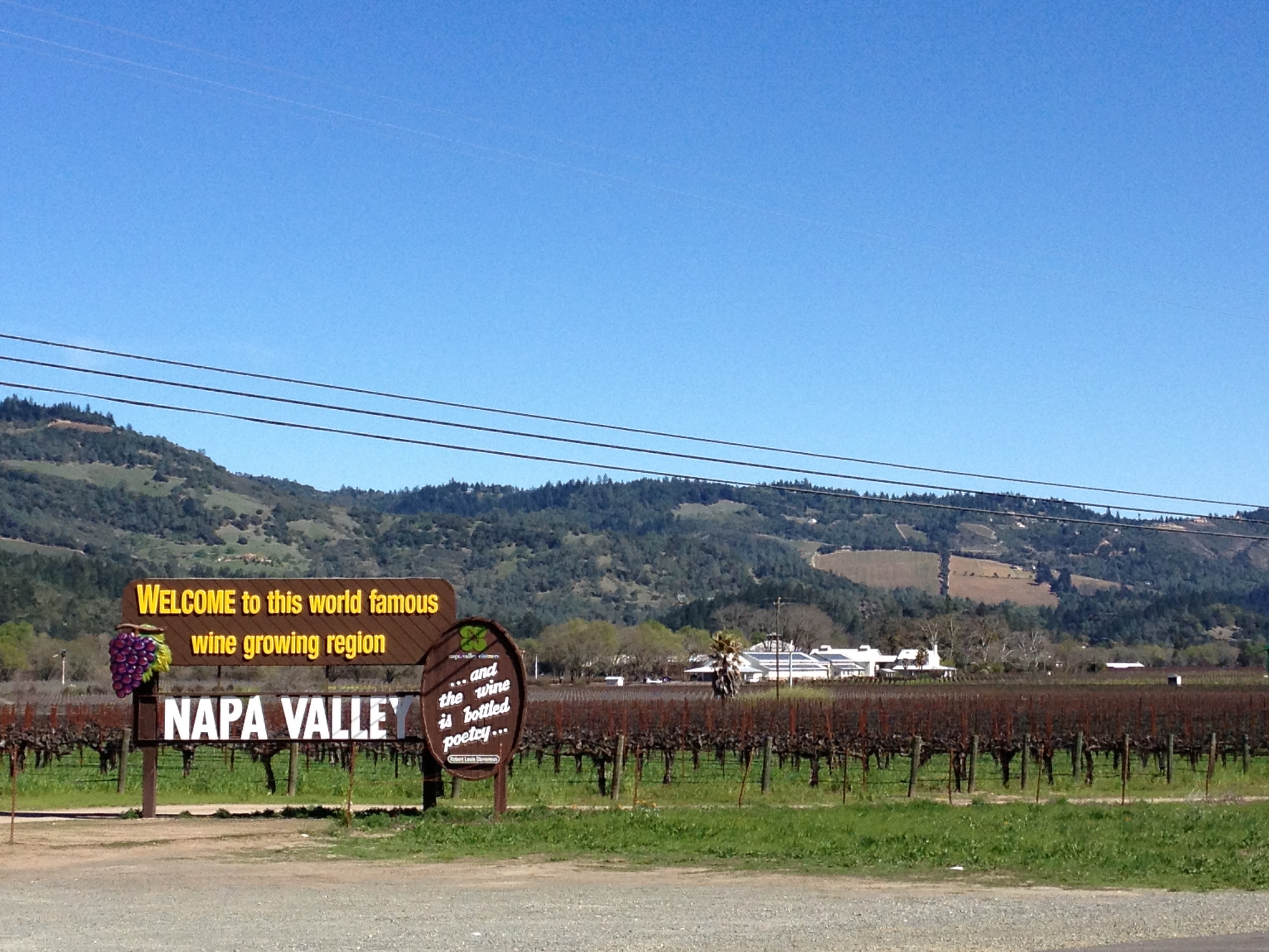 0955 - California - Napa Valley - small.jpg