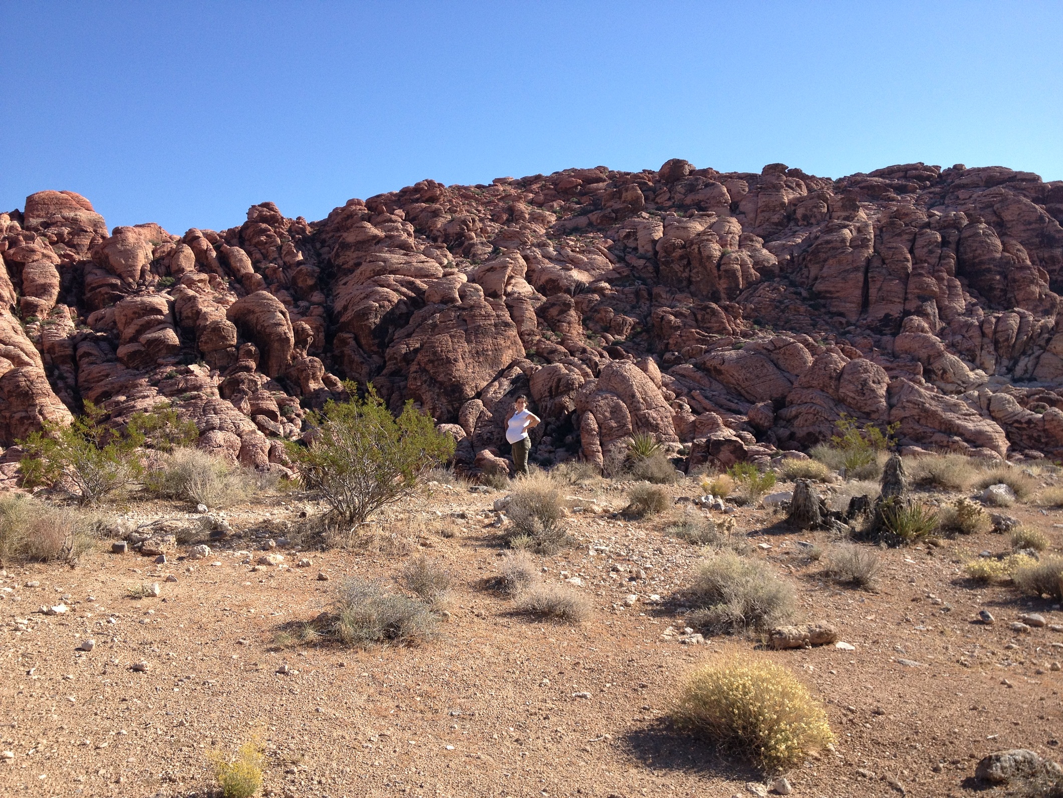 1101 - Red Rock Canyon - small.jpg