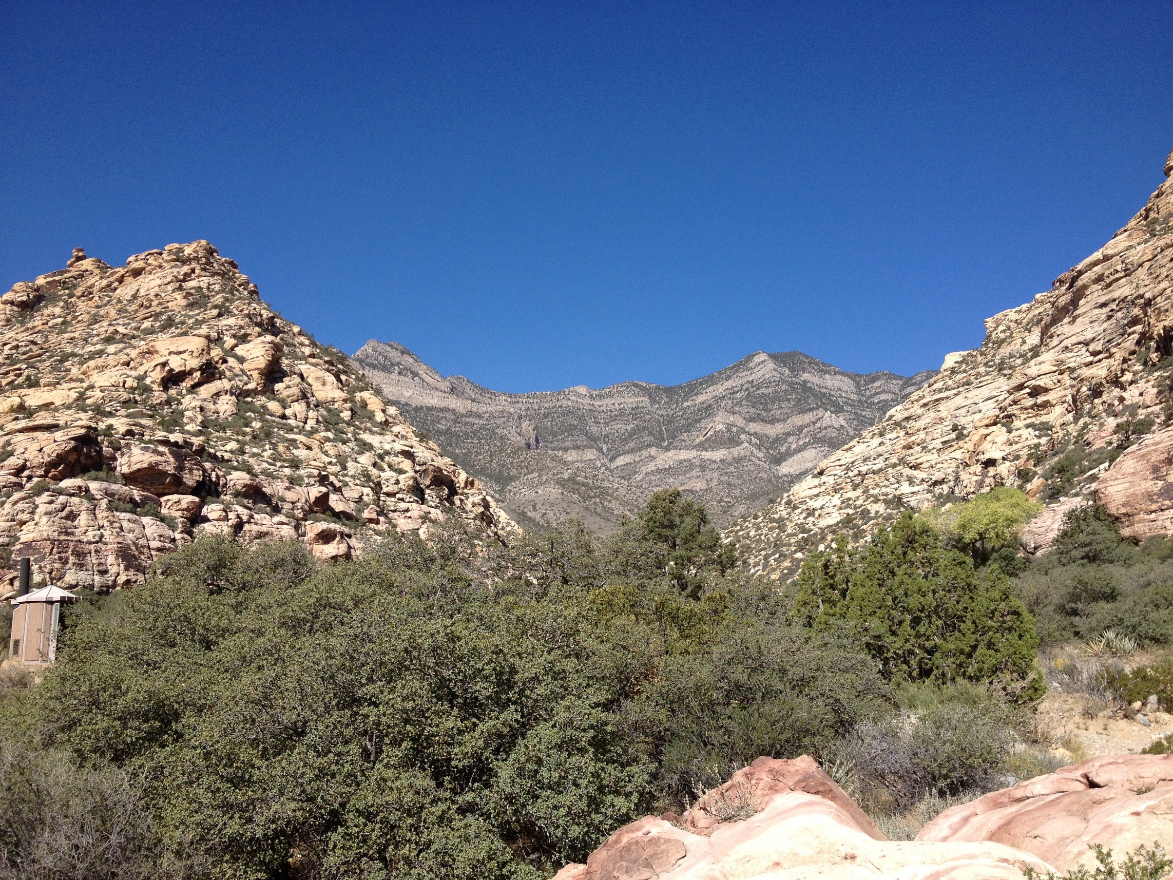 1124 - Red Rock Canyon - small.jpg