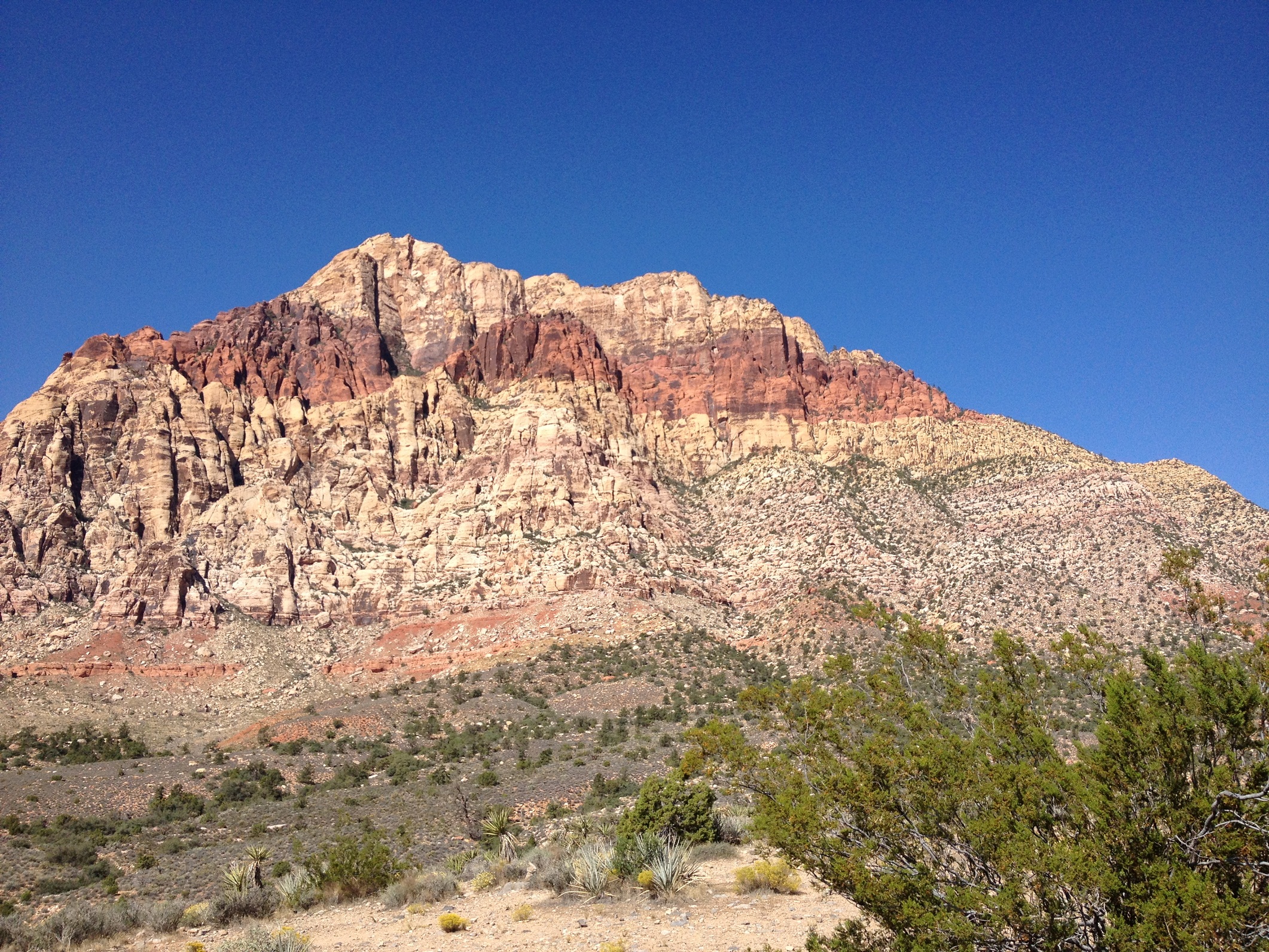 1130 - Red Rock Canyon - small.jpg