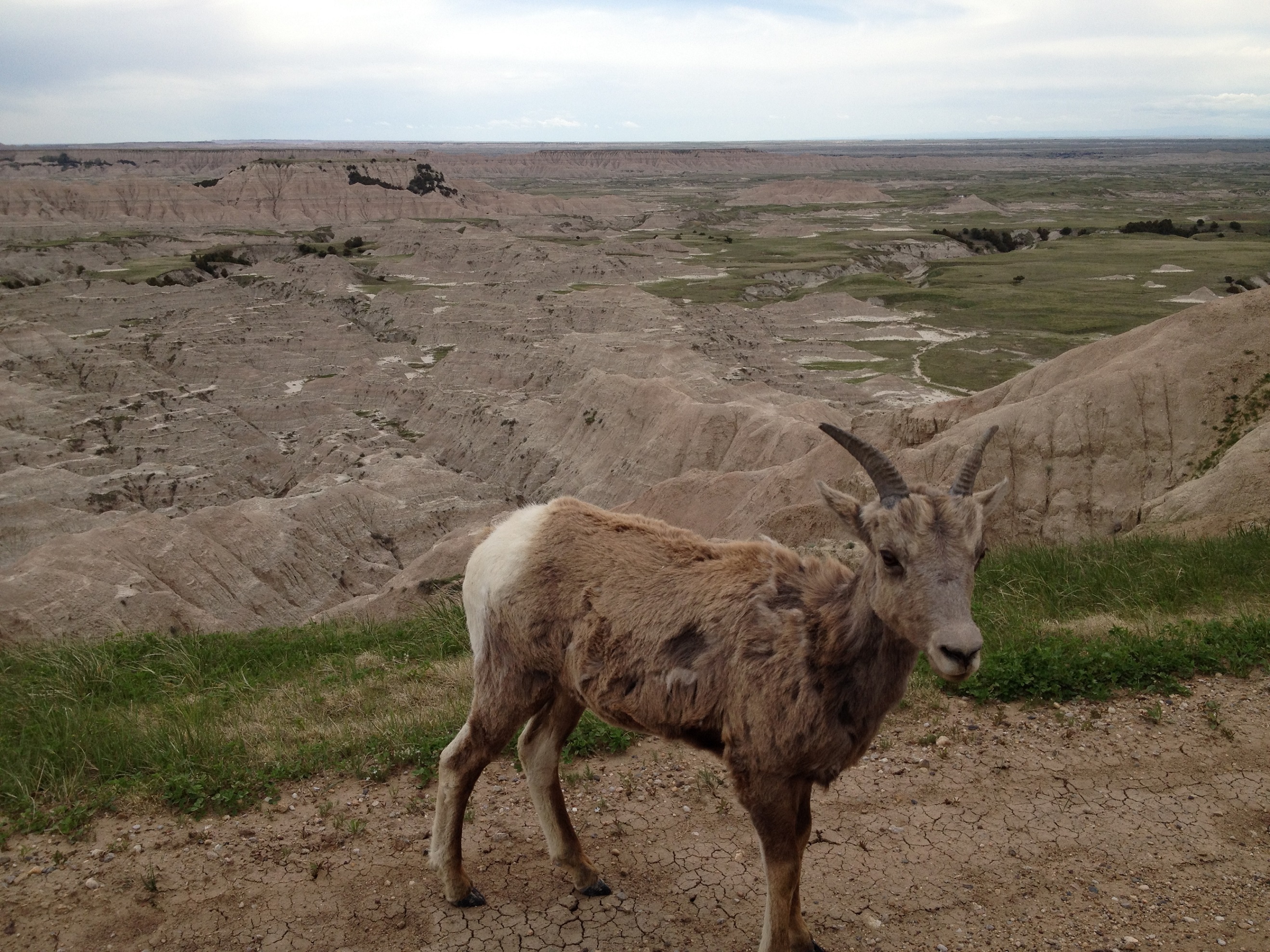 2875 - South Dakota - Badlands - small.jpg