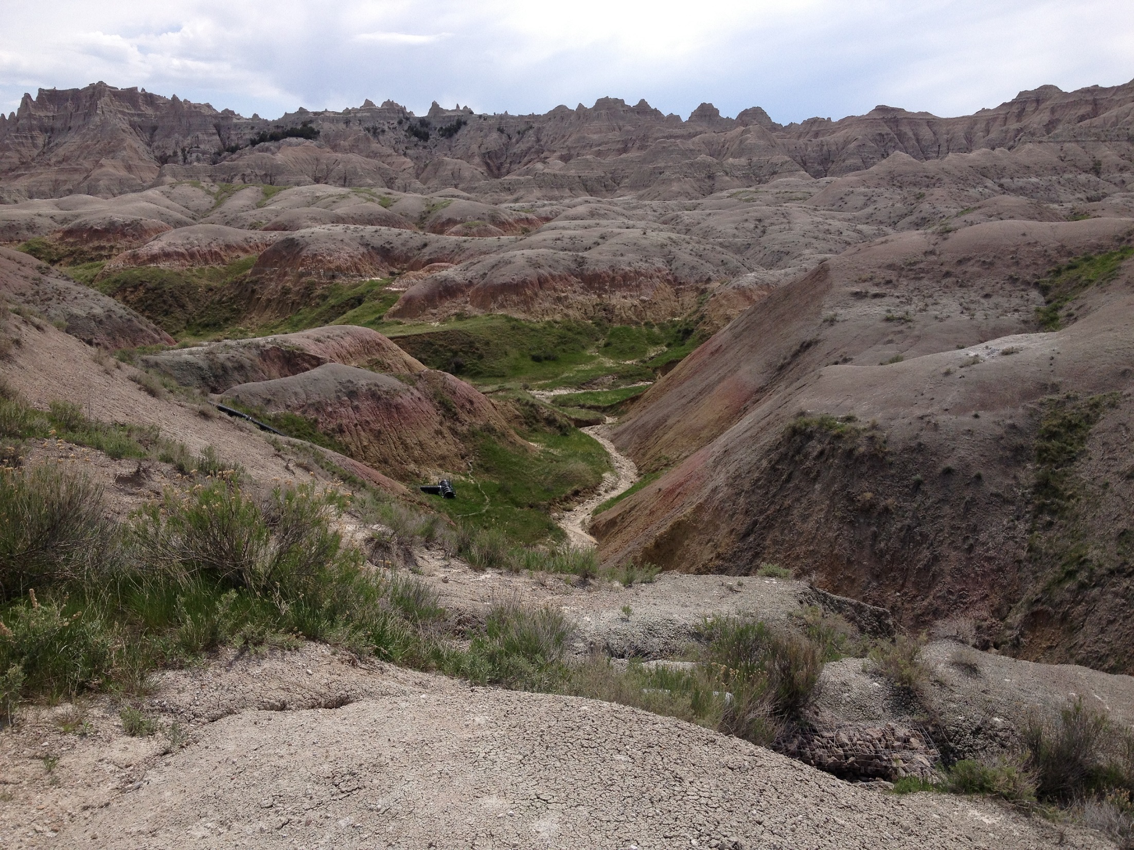 2898 - South Dakota - Badlands - small.jpg