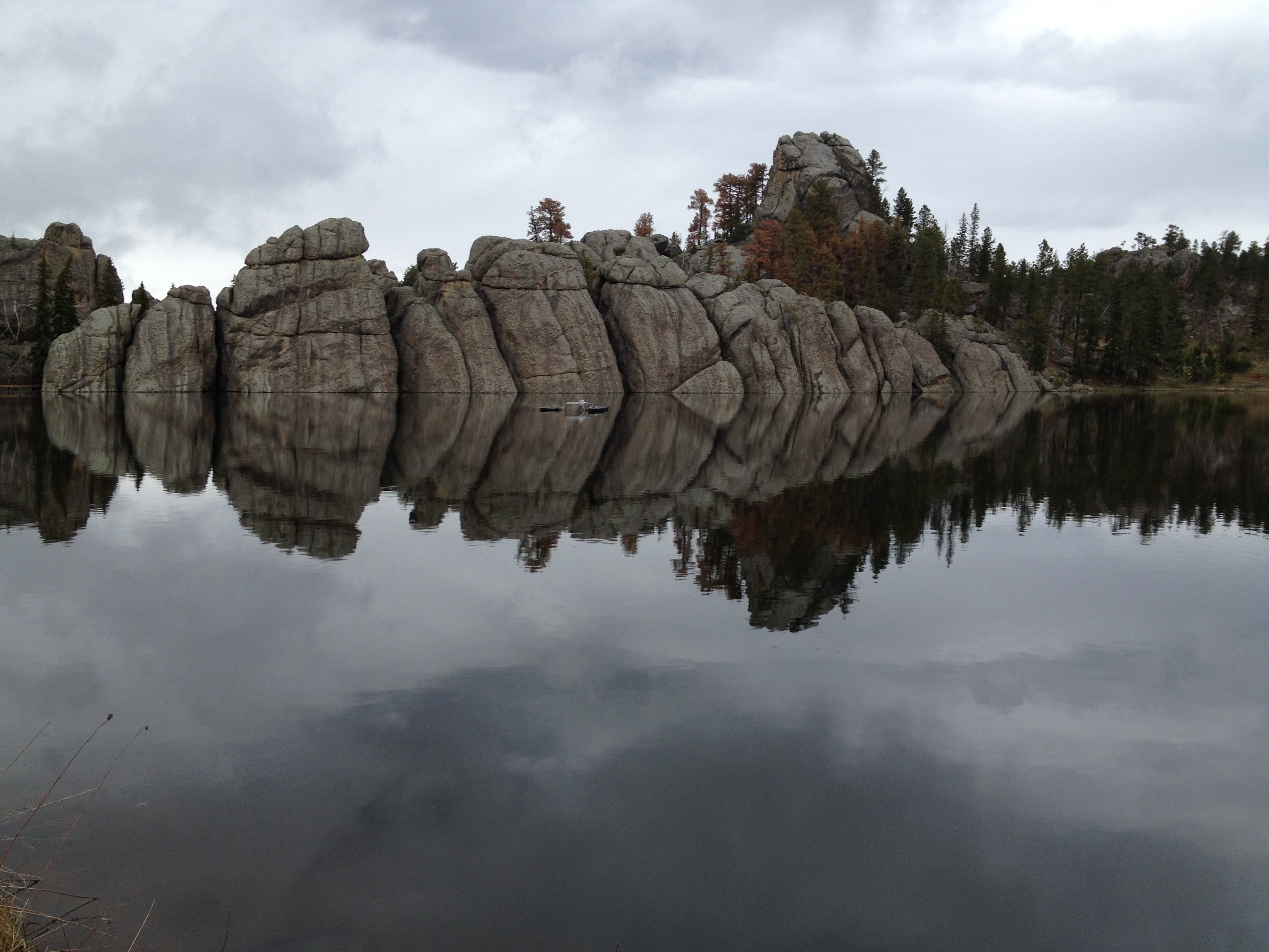 3042 - South Dakota - Custer State Park - small.jpg