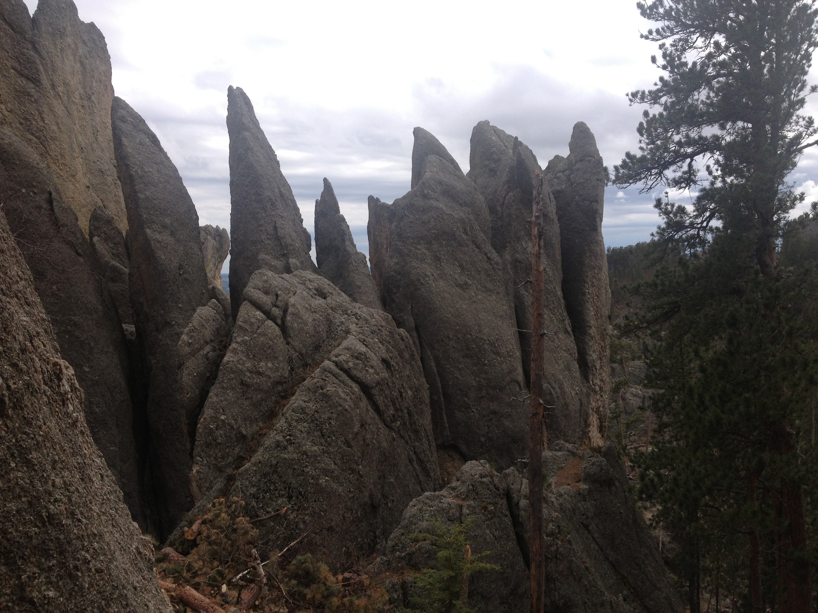 3055 - South Dakota - Custer State Park - small.jpg