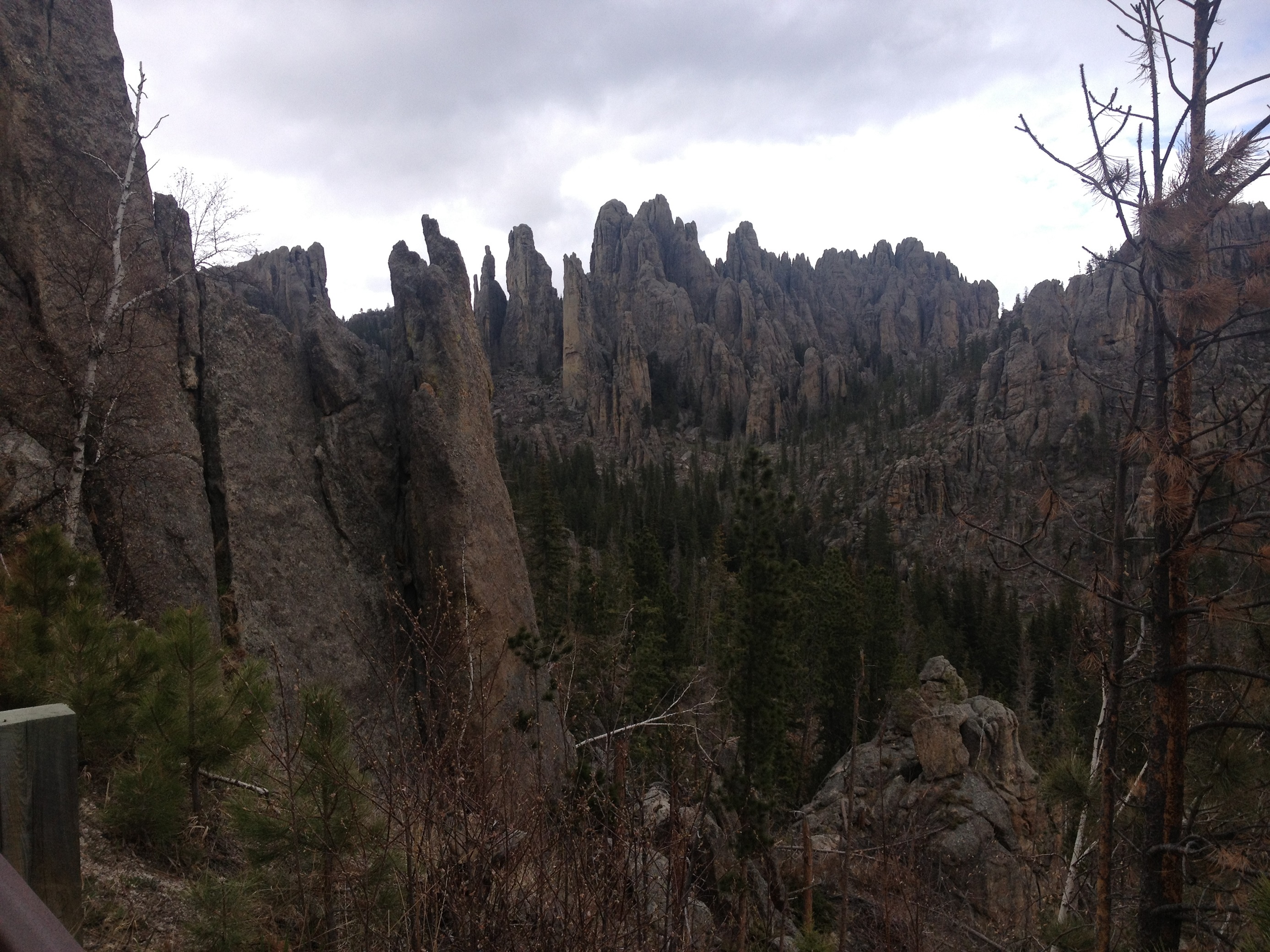 3078 - South Dakota - Custer State Park - small.jpg