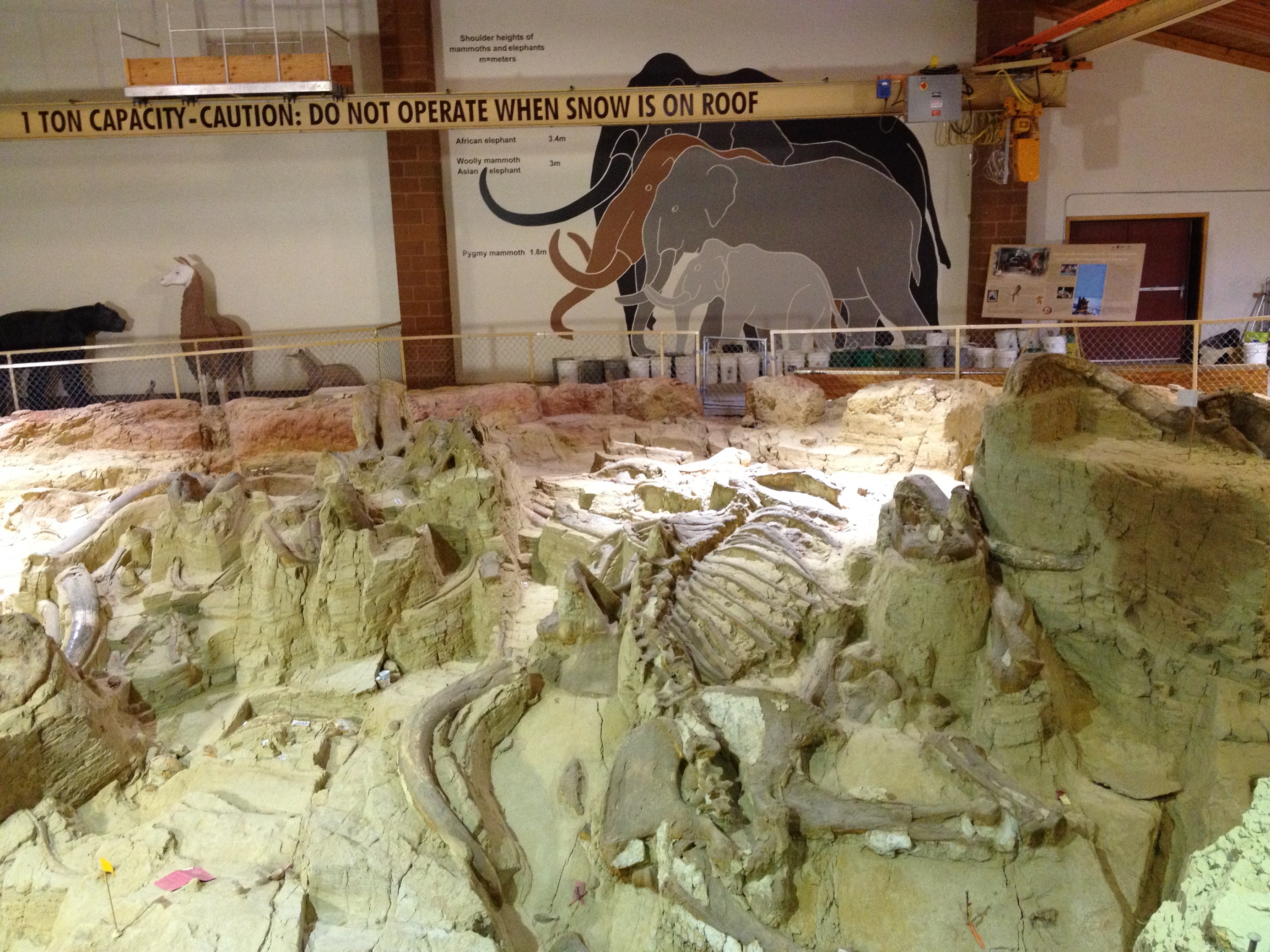 3162 - South Dakota - Mammoth Site - small.jpg