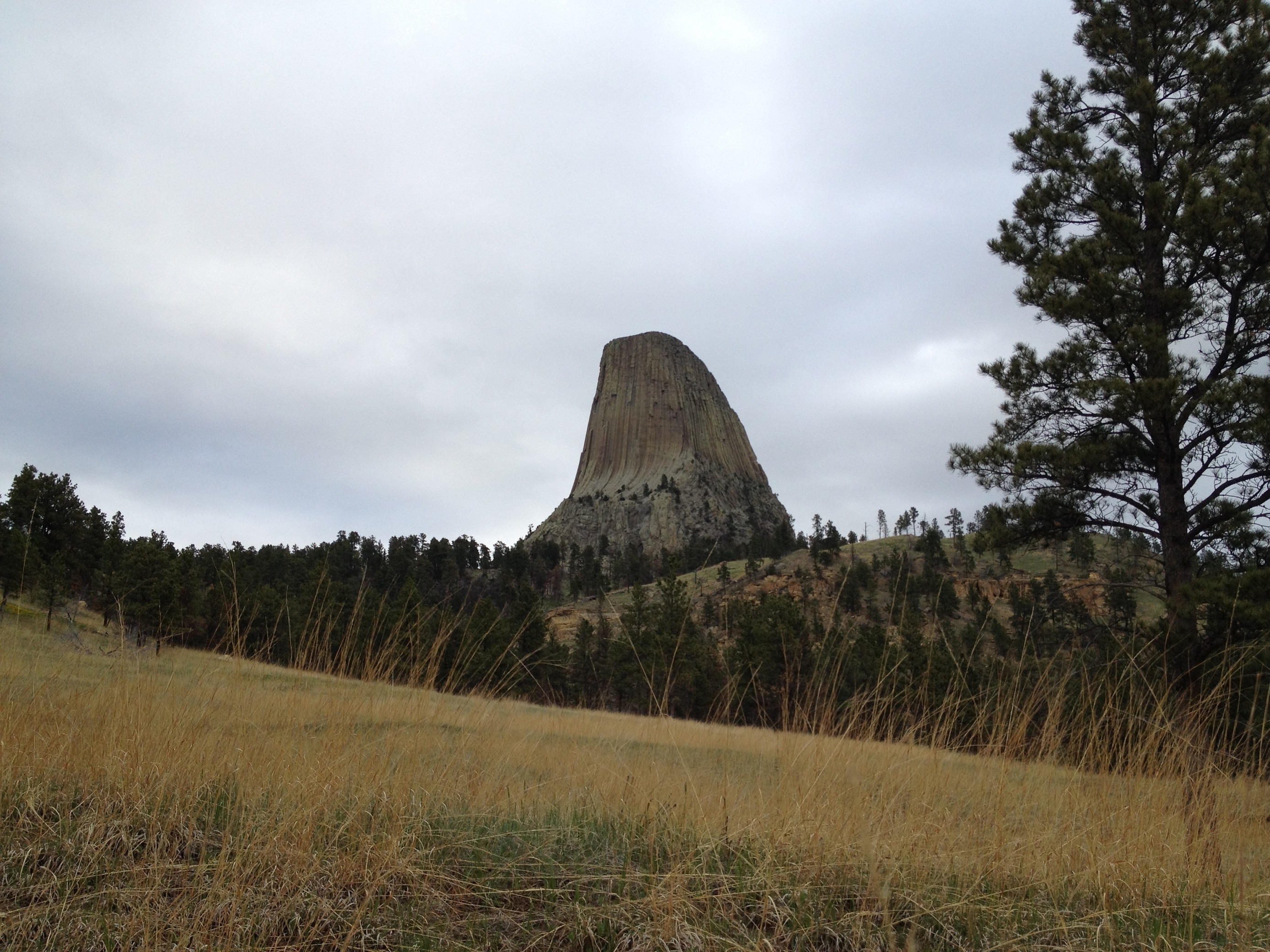 3305 - Wyoming - Devils Tower - small.jpg