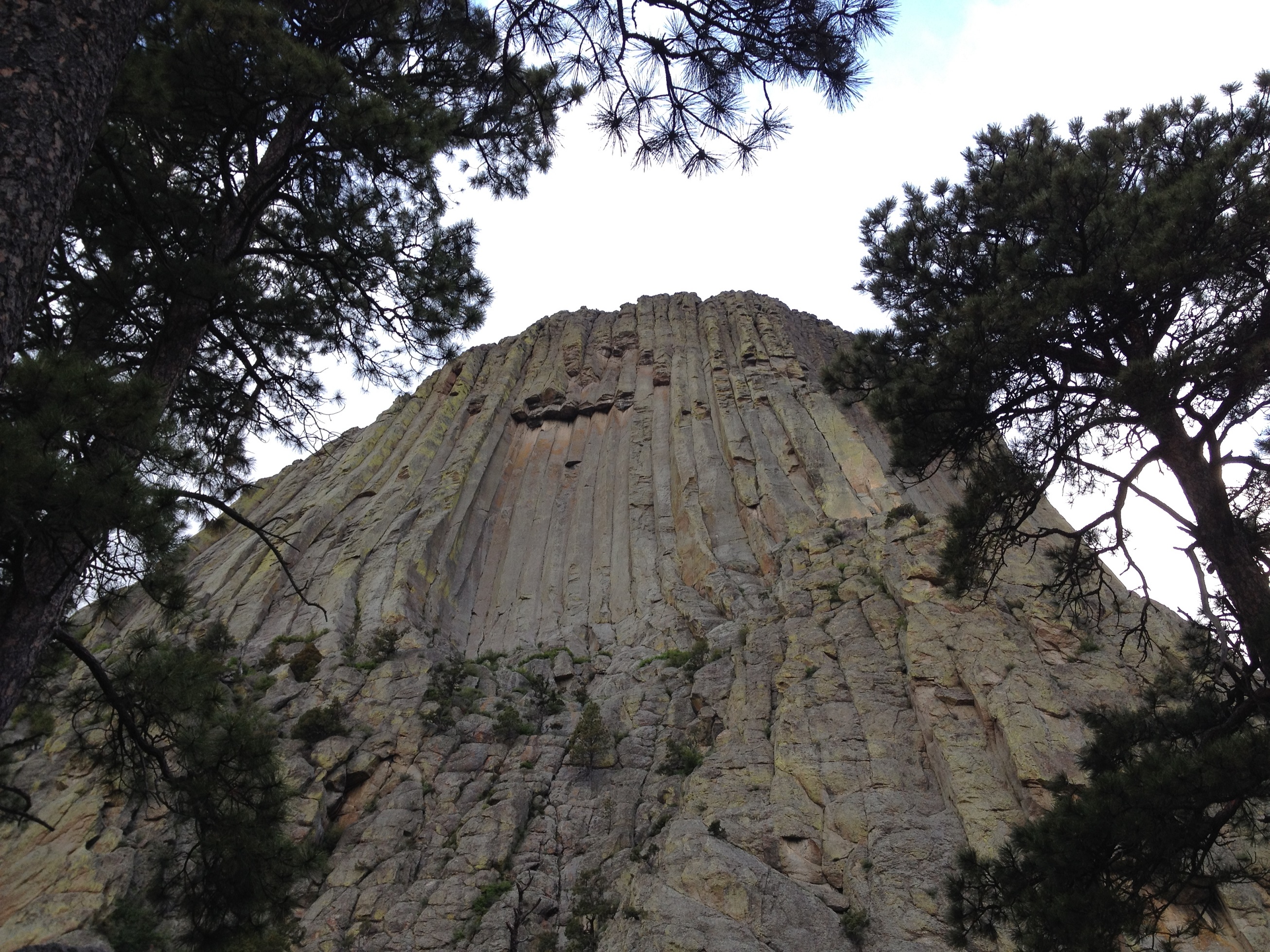 3342 - Wyoming - Devils Tower - small.jpg