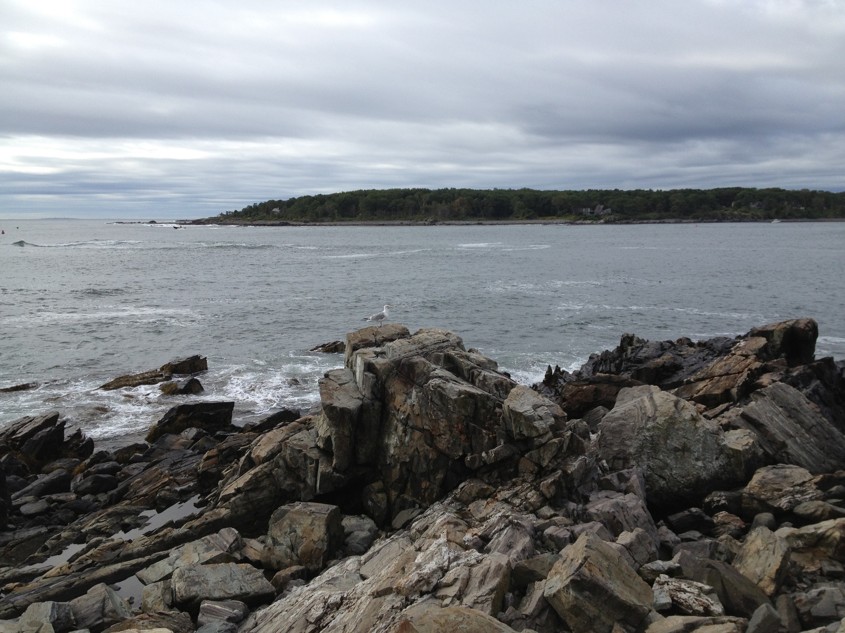 3451 - Maine - York - small.jpg