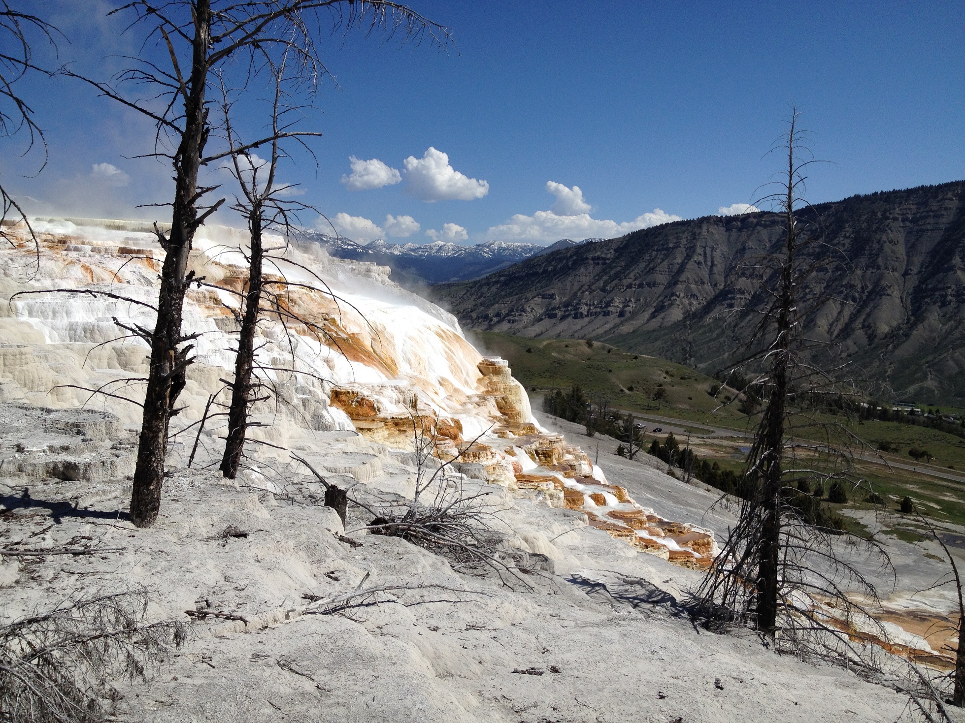 3649 - Wyoming - Yellowstone - small.jpg