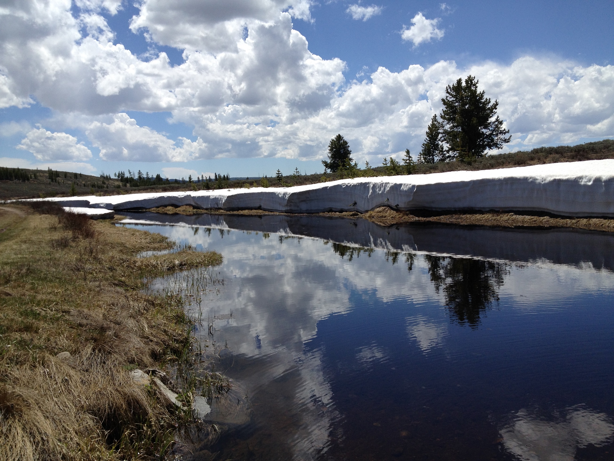 3672 - Wyoming - Yellowstone - small.jpg