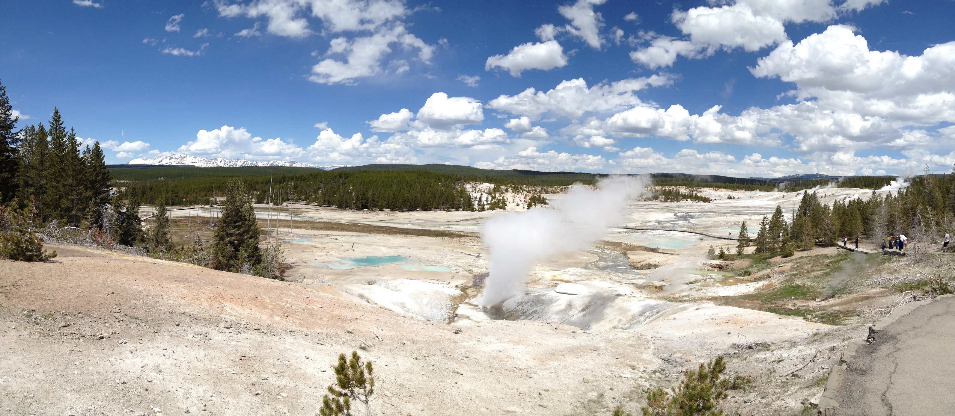 3681 - Wyoming - Yellowstone - small.jpg